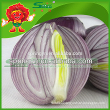 2015 fresh red onion direct from Chinese manuafactuer